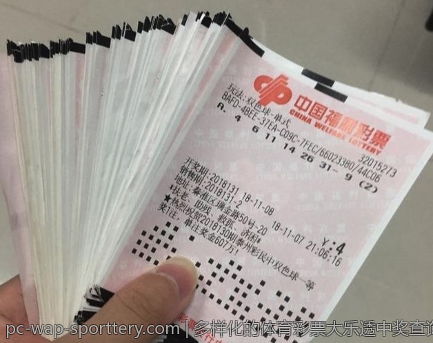 多样化的体育彩票大乐透中奖查询方式