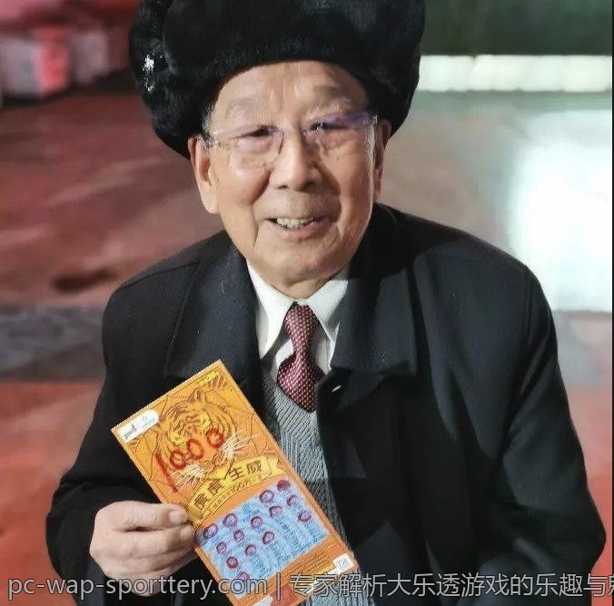 专家解析大乐透游戏的乐趣与魅力